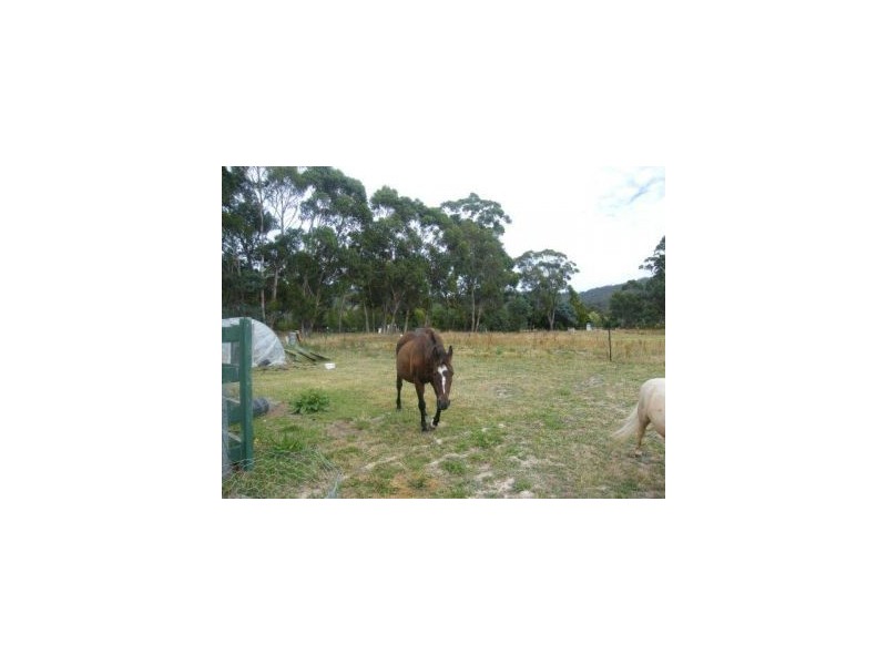 12 Lower Swamp Road, Lachlan TAS 7140