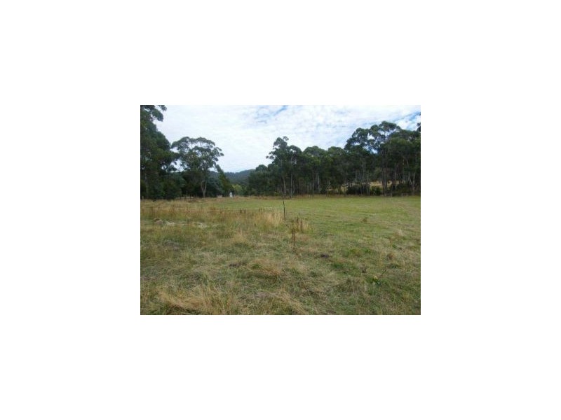 12 Lower Swamp Road, Lachlan TAS 7140