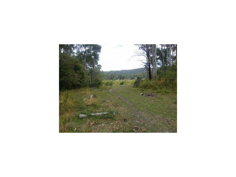 12 Lower Swamp Road, Lachlan TAS 7140