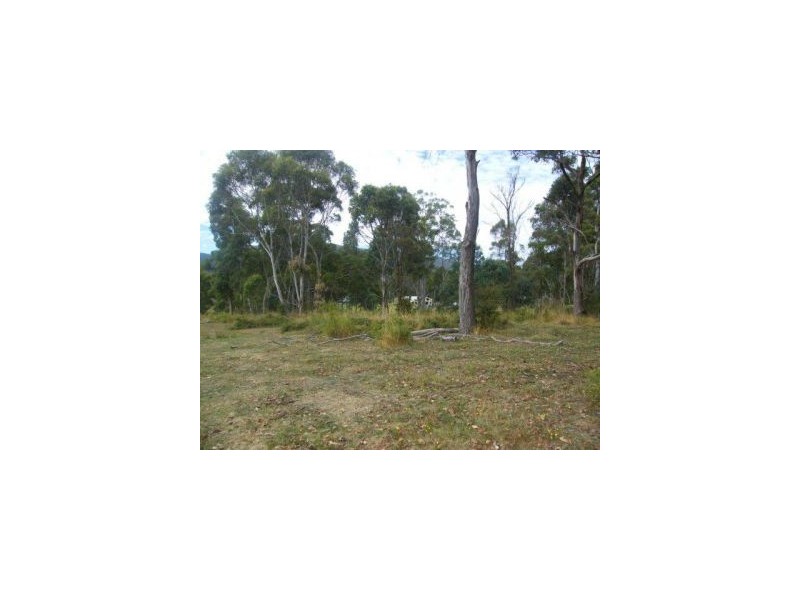 12 Lower Swamp Road, Lachlan TAS 7140