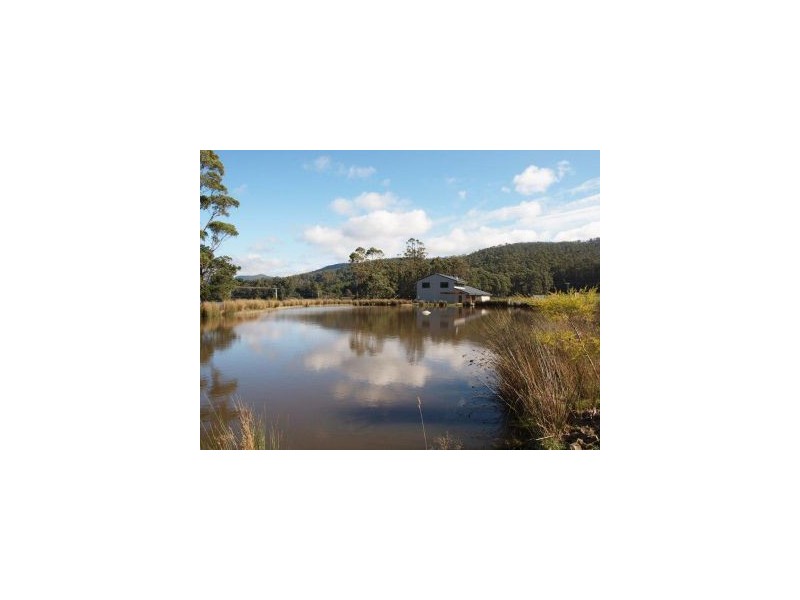 37A Fortescue Bay Rd, Port Arthur TAS 7182