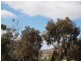 77a Arthur Highway, Dunalley TAS 7177