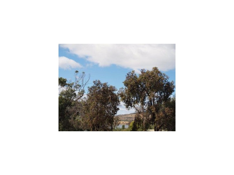 77a Arthur Highway, Dunalley TAS 7177