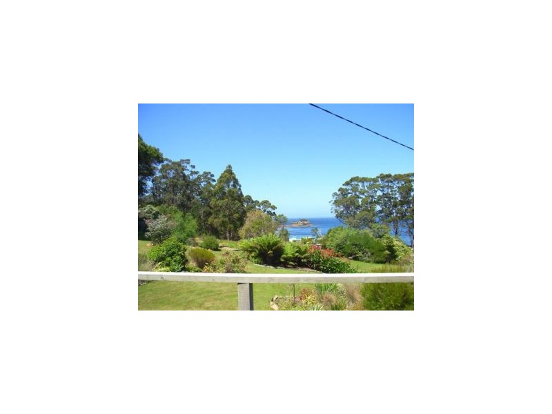 335 Pirates Bay Dr, Eaglehawk Neck TAS 7179