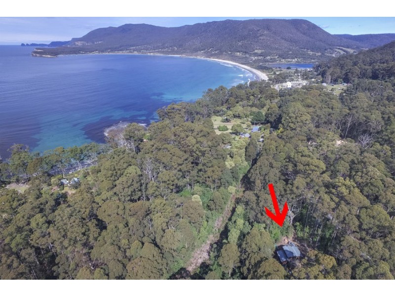 311 Pirates Bay Drive, Eaglehawk Neck TAS 7179
