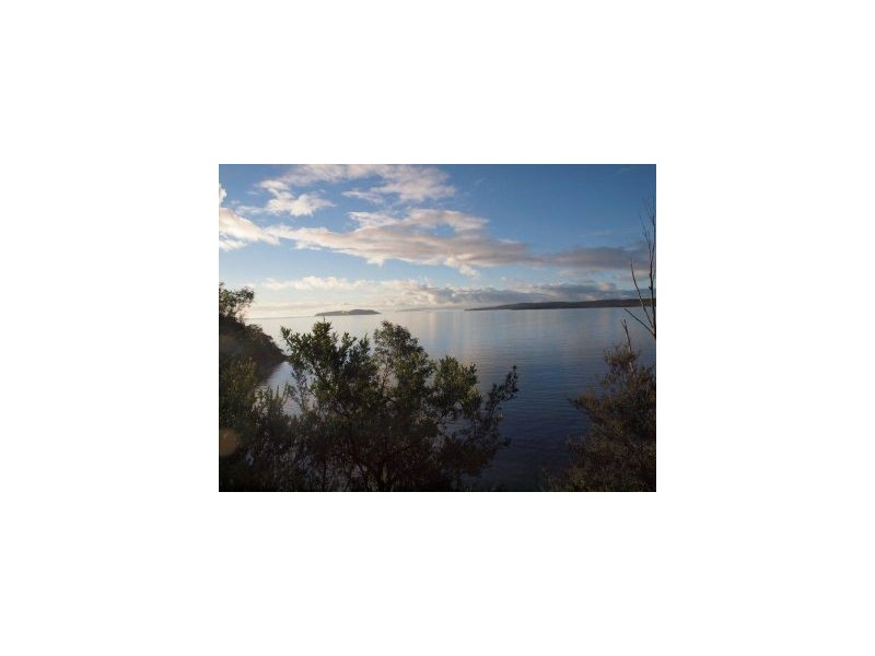100 Black Jack Road, Sloping Main TAS 7186
