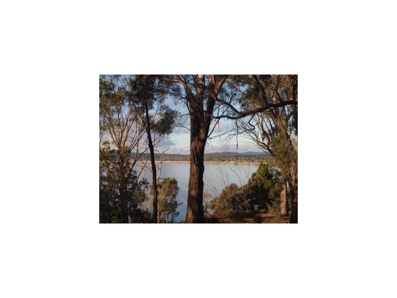 100 Black Jack Road, Sloping Main TAS 7186