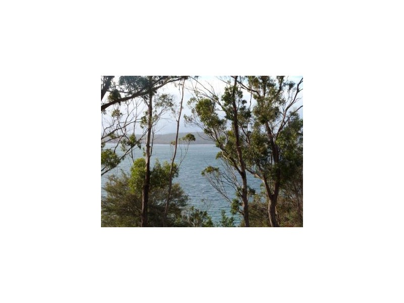100 Black Jack Road, Sloping Main TAS 7186