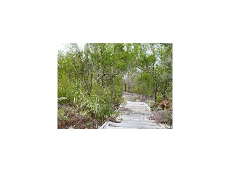 100 Black Jack Road, Sloping Main TAS 7186