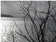 100 Black Jack Road, Sloping Main TAS 7186