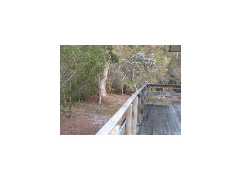 100 Black Jack Road, Sloping Main TAS 7186