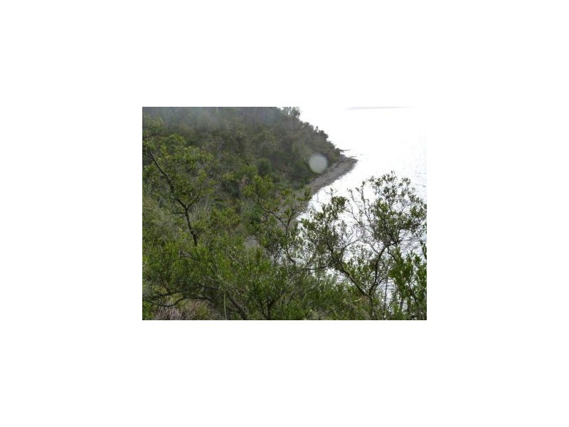 100 Black Jack Road, Sloping Main TAS 7186