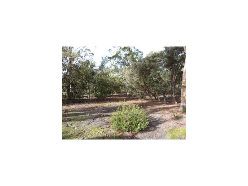 100 Black Jack Road, Sloping Main TAS 7186