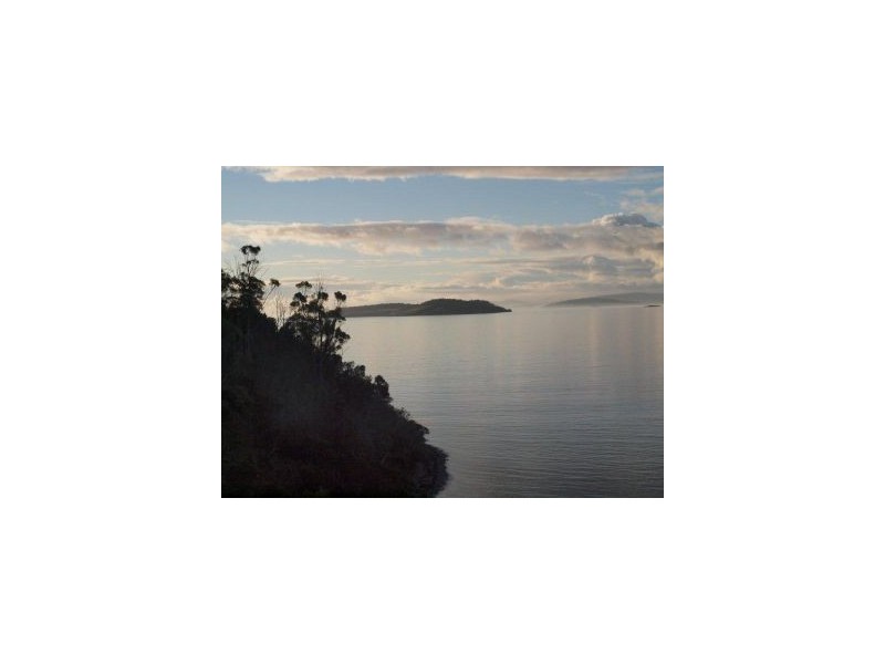 100 Black Jack Road, Sloping Main TAS 7186