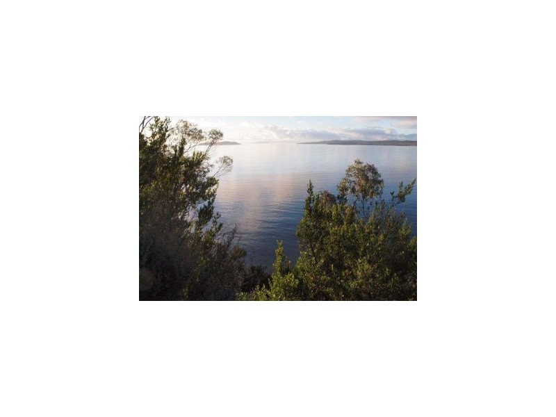 100 Black Jack Road, Sloping Main TAS 7186