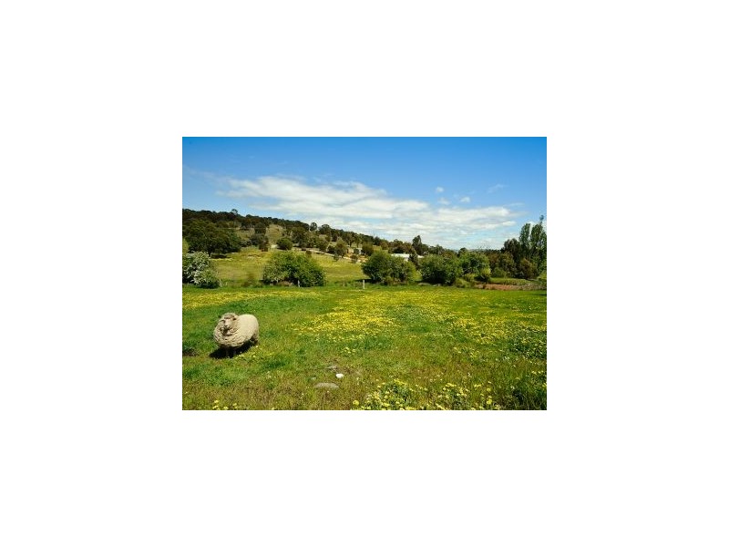 15 Wards Ave, Lewisham TAS 7173