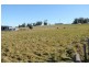 Lot 3 Coal Mine Road, Saltwater River TAS 7186