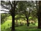 2512 Nubeena Rd, Port Arthur TAS 7182