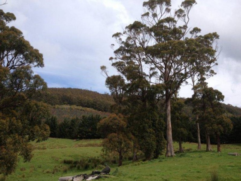 2512 Nubeena Rd, Port Arthur TAS 7182