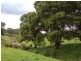 2512 Nubeena Rd, Port Arthur TAS 7182