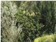 48 Ferntree Road, Eaglehawk Neck TAS 7179