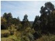 48 Ferntree Road, Eaglehawk Neck TAS 7179