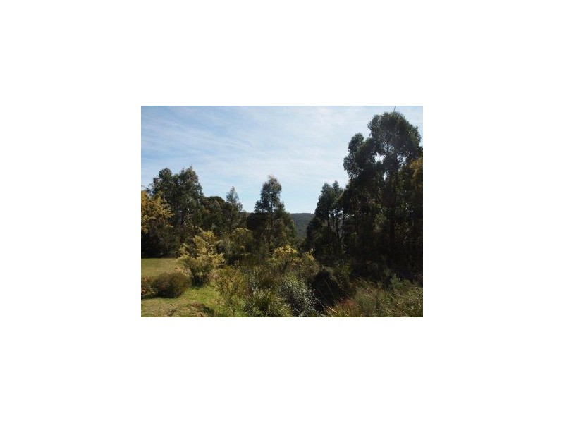 48 Ferntree Road, Eaglehawk Neck TAS 7179