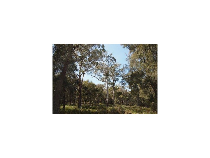 615 Sommers Bay Road, Murdunna TAS 7178