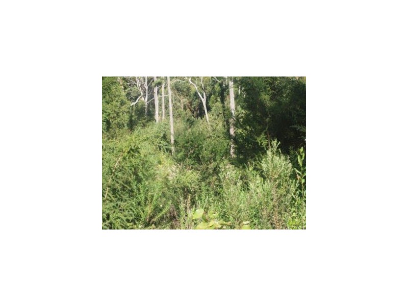 Lot 9a Pirates Bay Drive, Eaglehawk Neck TAS 7179