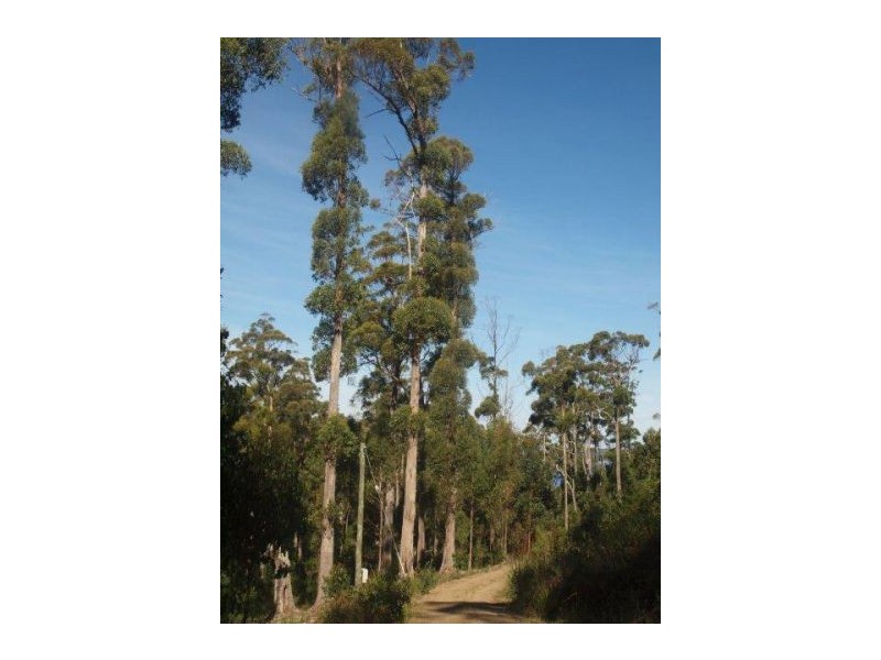 Lot 9a Pirates Bay Drive, Eaglehawk Neck TAS 7179