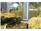 4 Illawong Drive, Port Arthur TAS 7182