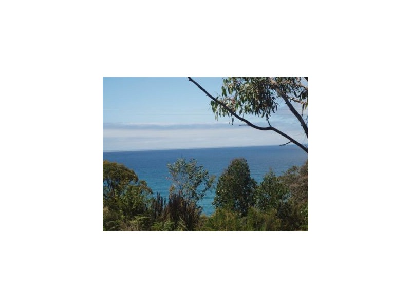 Lot 6a Blowhole Road, Eaglehawk Neck TAS 7179