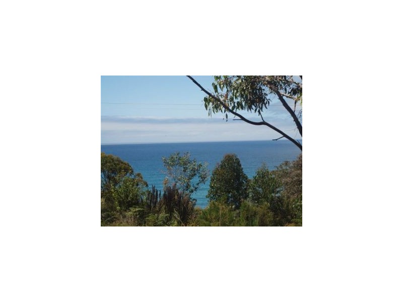 Lot 6a Blowhole Road, Eaglehawk Neck TAS 7179