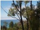 Lot 6a Blowhole Road, Eaglehawk Neck TAS 7179