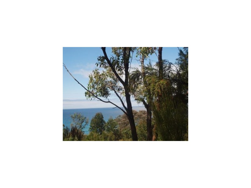 Lot 6a Blowhole Road, Eaglehawk Neck TAS 7179