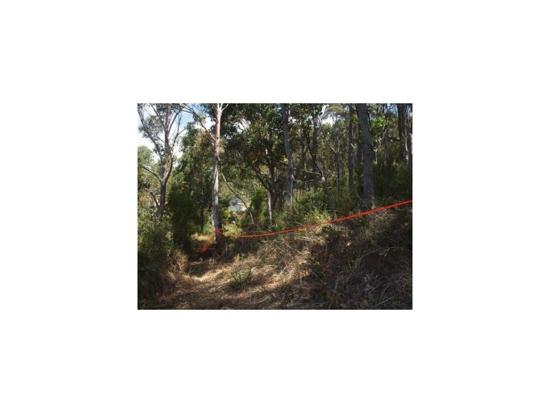 Lot 6a Blowhole Road, Eaglehawk Neck TAS 7179