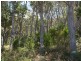 Lot 6a Blowhole Road, Eaglehawk Neck TAS 7179