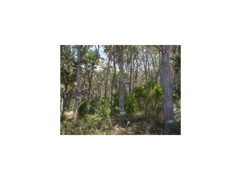 Lot 6a Blowhole Road, Eaglehawk Neck TAS 7179