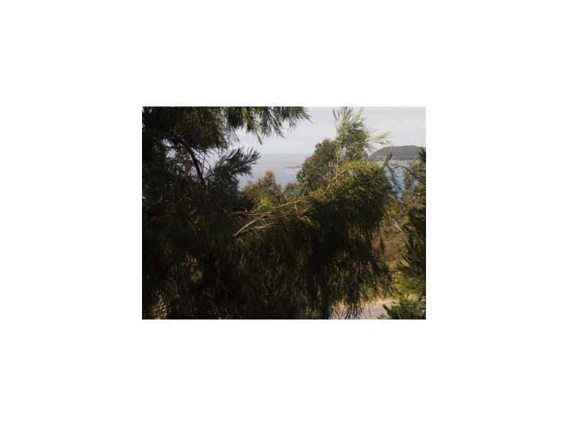 Lot 6a Blowhole Road, Eaglehawk Neck TAS 7179