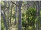 Lot 6a Blowhole Road, Eaglehawk Neck TAS 7179