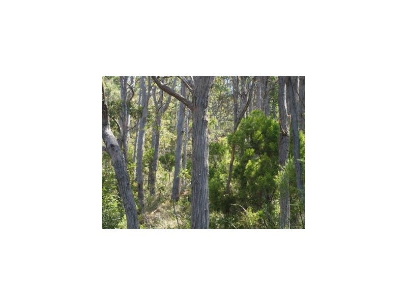 Lot 6a Blowhole Road, Eaglehawk Neck TAS 7179