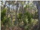 Lot 6a Blowhole Road, Eaglehawk Neck TAS 7179