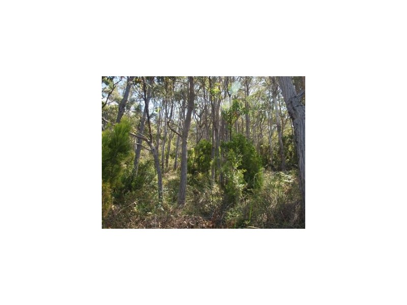 Lot 6a Blowhole Road, Eaglehawk Neck TAS 7179