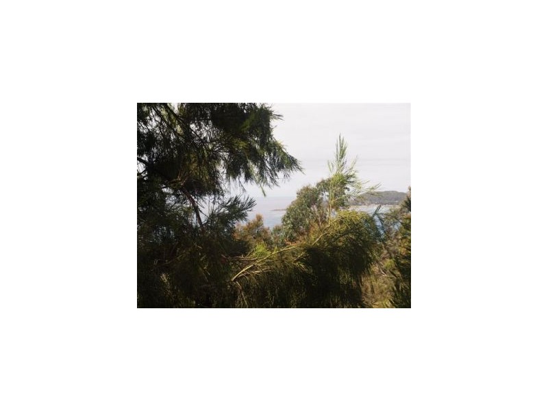 Lot 6a Blowhole Road, Eaglehawk Neck TAS 7179