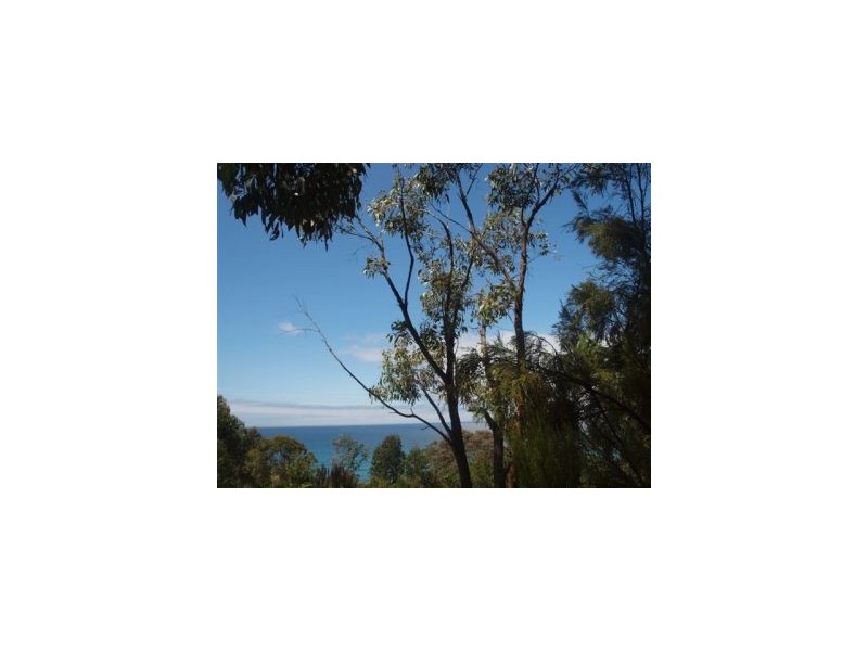 Lot 6a Blowhole Road, Eaglehawk Neck TAS 7179