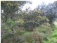 Lot 1 Woolridge Road, Rhyndaston TAS 7120