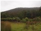 6800Lots1,2,3,4 Arthur Highway, Port Arthur TAS 7182