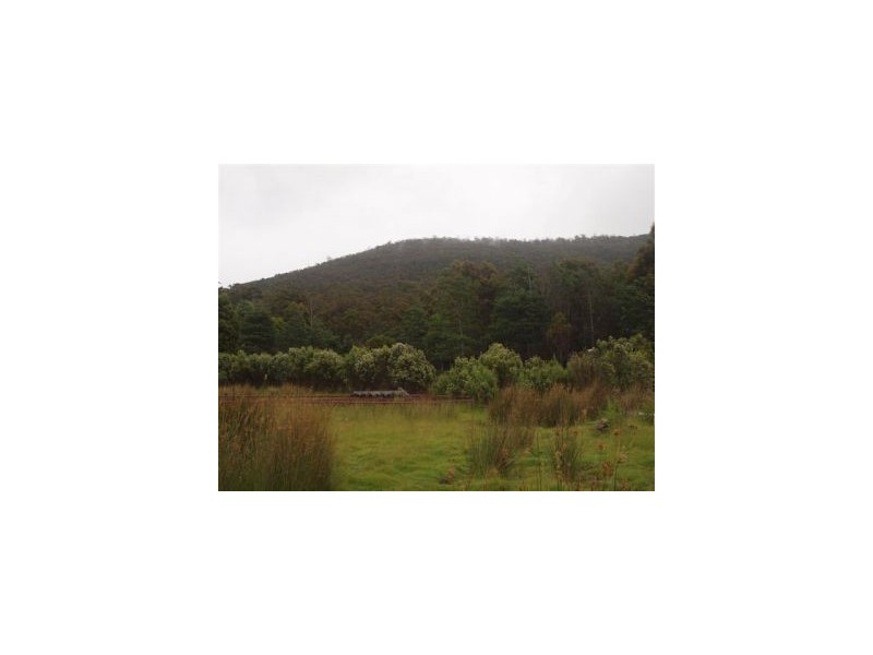 6800Lots1,2,3,4 Arthur Highway, Port Arthur TAS 7182