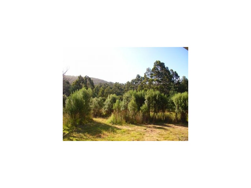 6800Lots1,2,3,4 Arthur Highway, Port Arthur TAS 7182