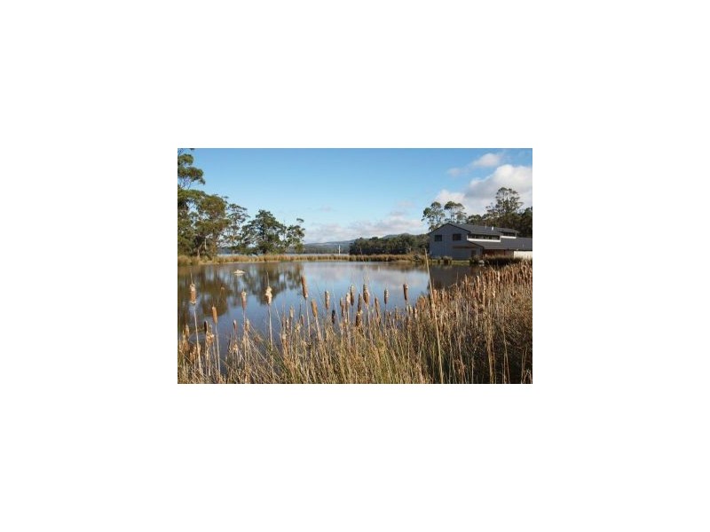 6555/2 Arthur Highway, Port Arthur TAS 7182